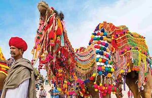 Pushkar Camel Fair of Rajasthan