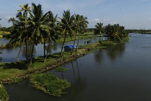 backwater-stretches-kochi
