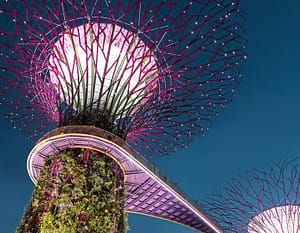 Garden of the Bay,Singapore
