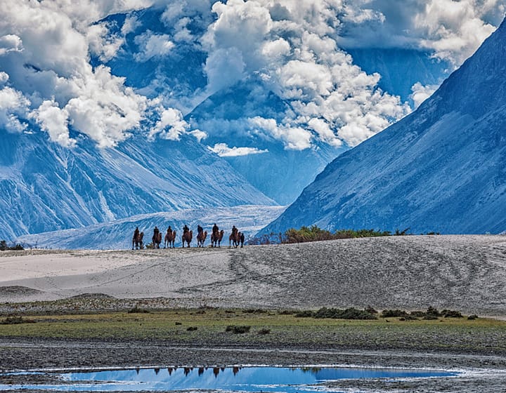 nubra valley in Ladakh