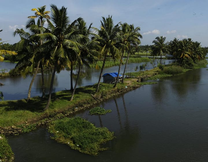 backwater-stretches-kochi
