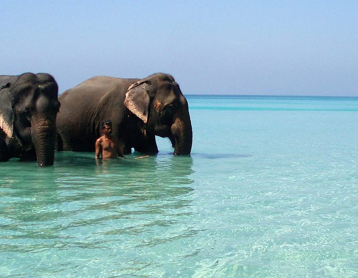 Elephant-Beach-Havelock-Island