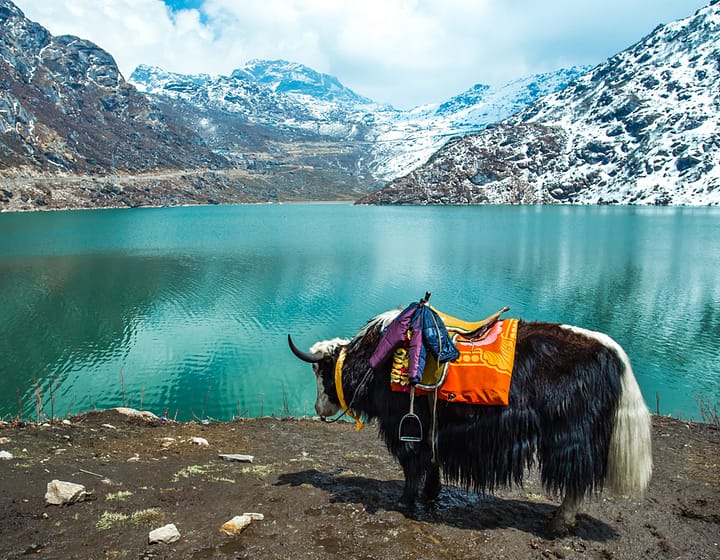 Gangtok-Lachen and Lachung Holiday Tour